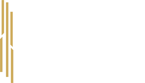 Ontwikkelingsmaatschappij_logo